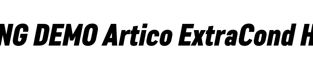  DEMO Artico ExtraCond Heavy Italic