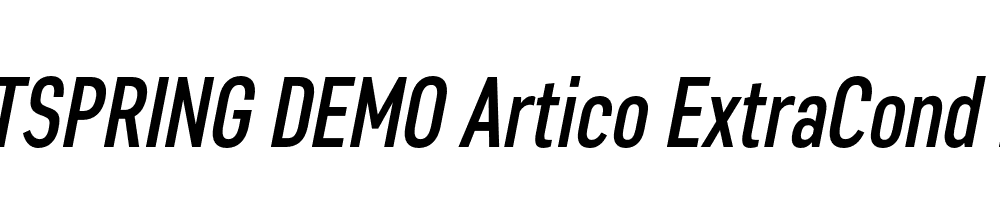  DEMO Artico ExtraCond Italic