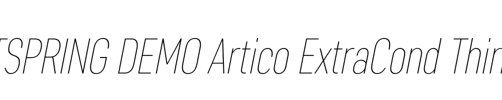  DEMO Artico ExtraCond Thin Italic