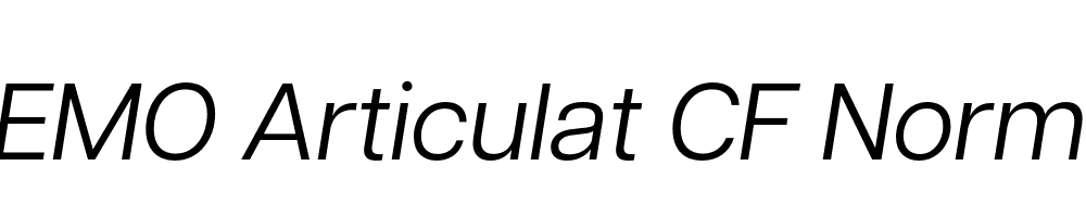 FSP DEMO Articulat CF Normal Italic