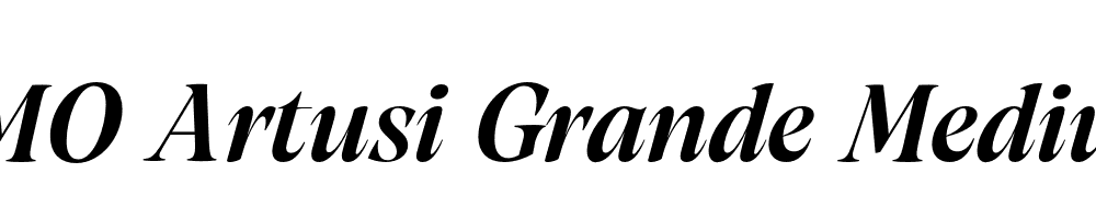 FSP DEMO Artusi Grande Medium Italic