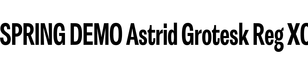  DEMO Astrid Grotesk Reg XCn Bold