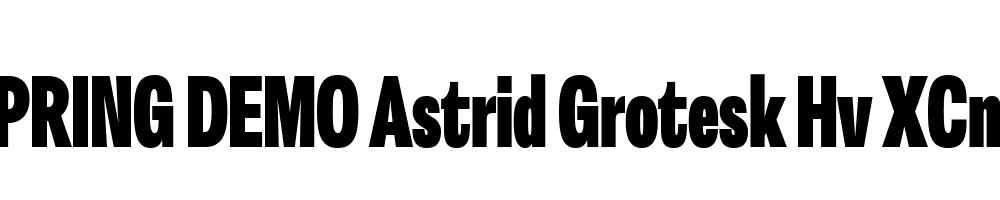  DEMO Astrid Grotesk Hv XCn Regular