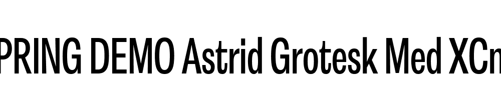  DEMO Astrid Grotesk Med XCn Regular