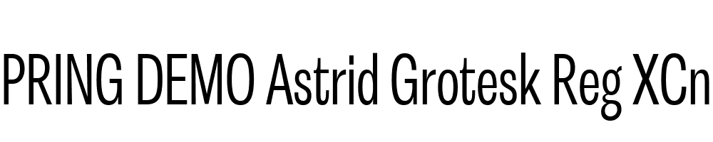  DEMO Astrid Grotesk Reg XCn Regular