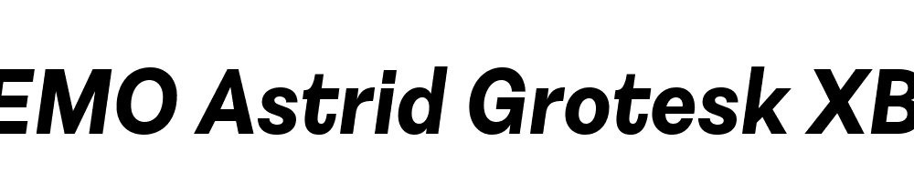 FSP DEMO Astrid Grotesk XBd Italic