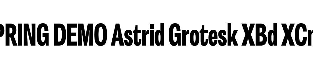  DEMO Astrid Grotesk XBd XCn Regular