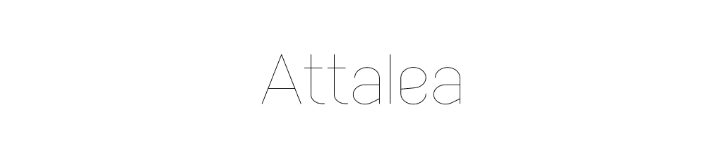 Attalea