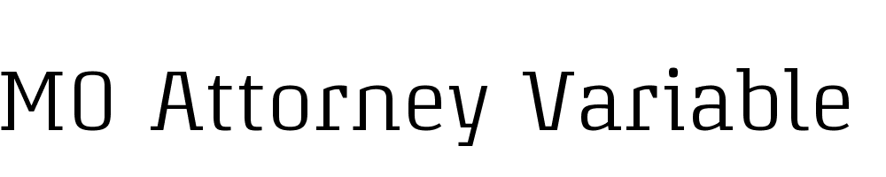 FSP DEMO Attorney Variable Regular