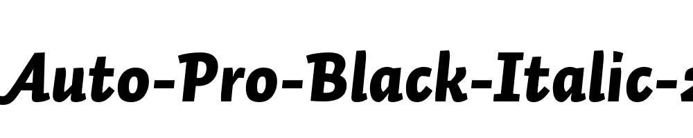 Auto-Pro-Black-Italic-2