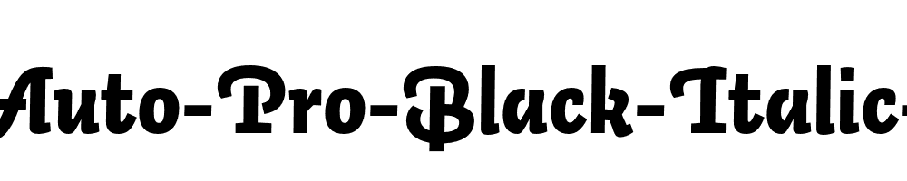 Auto-Pro-Black-Italic-3