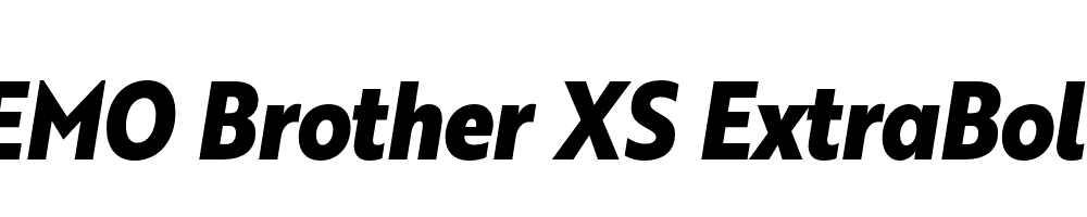 FSP DEMO Brother XS ExtraBold Italic