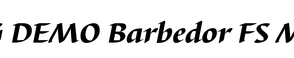  DEMO Barbedor FS Med Bold Italic