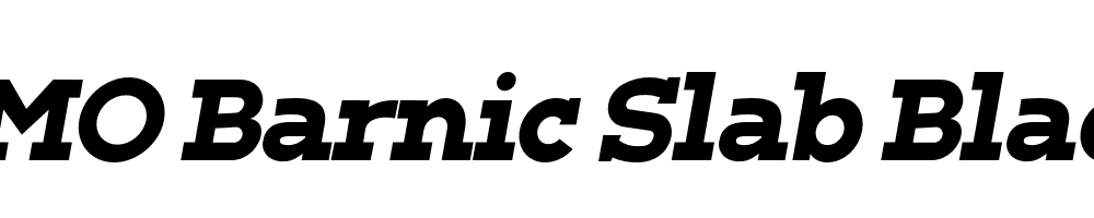 FSP DEMO Barnic Slab Black Italic