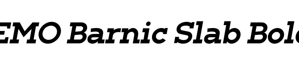 FSP DEMO Barnic Slab Bold Italic