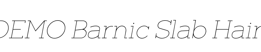 FSP DEMO Barnic Slab Hair Italic