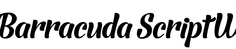 Barracuda Script W