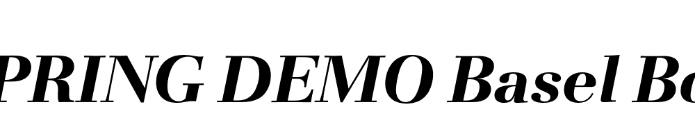  DEMO Basel Bold Italic