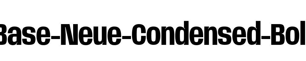 Base-Neue-Condensed-Bold