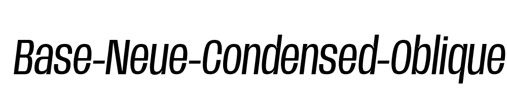 Base-Neue-Condensed-Oblique