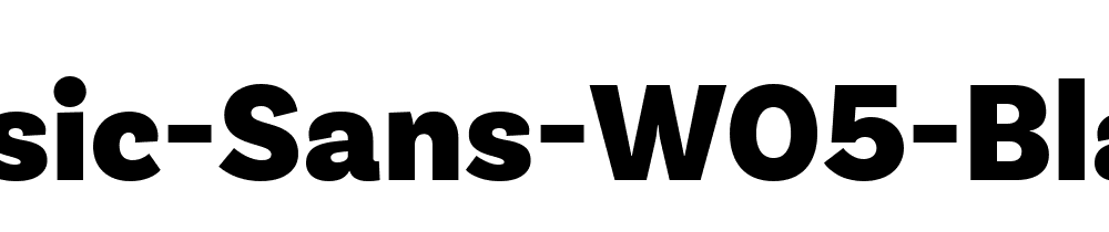 Basic Sans W05 Black