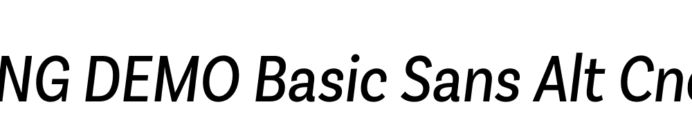  DEMO Basic Sans Alt Cnd It Regular