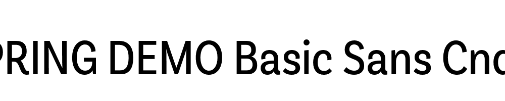  DEMO Basic Sans Cnd Regular