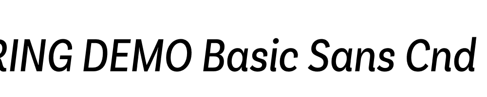  DEMO Basic Sans Cnd It Regular