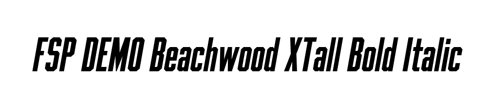 FSP DEMO Beachwood XTall Bold Italic