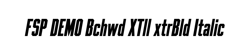 FSP DEMO Bchwd XTll xtrBld Italic