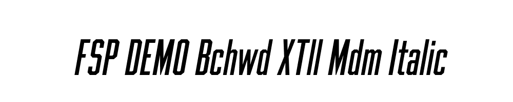 FSP DEMO Bchwd XTll Mdm Italic