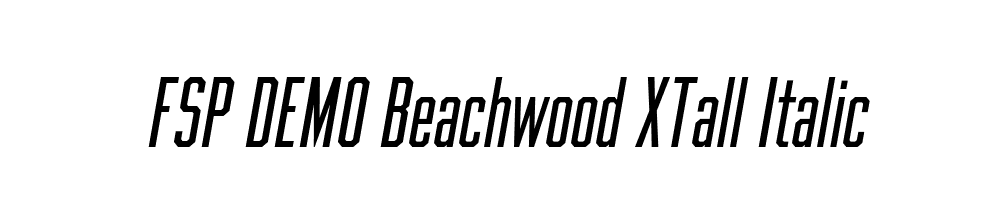 FSP DEMO Beachwood XTall Italic