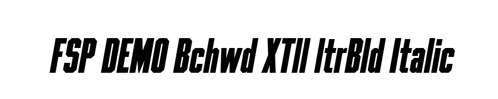 FSP DEMO Bchwd XTll ltrBld Italic