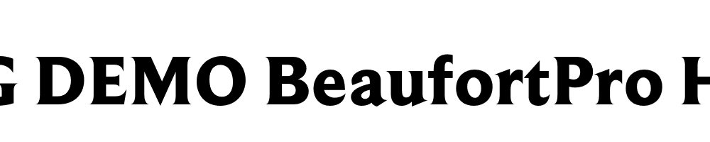  DEMO BeaufortPro Heavy Regular