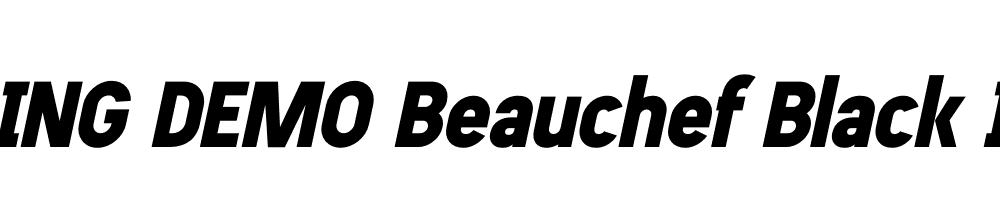  DEMO Beauchef Black It Regular