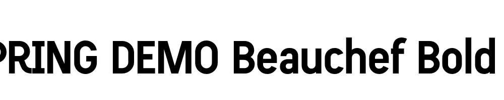  DEMO Beauchef Bold Regular