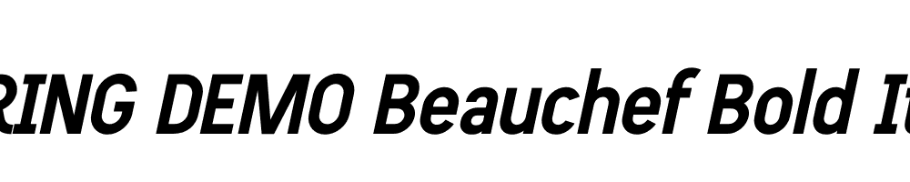  DEMO Beauchef Bold It Regular