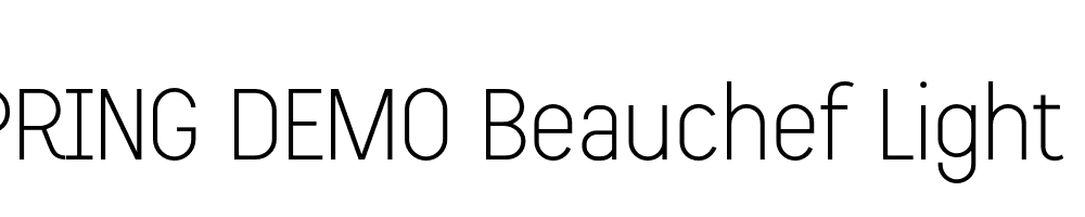  DEMO Beauchef Light Regular