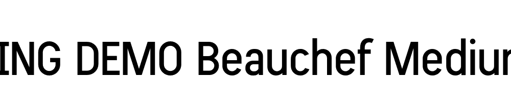  DEMO Beauchef Medium Regular