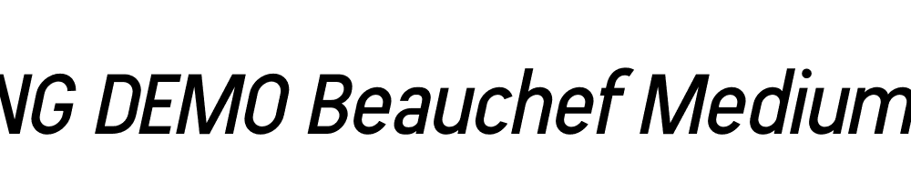  DEMO Beauchef Medium It Regular