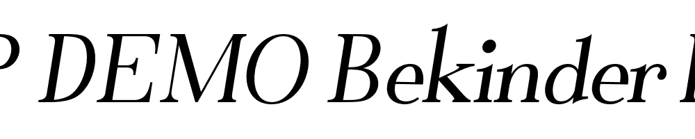 FSP DEMO Bekinder Italic