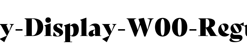 Bely-Display-W00-Regular