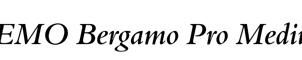 FSP DEMO Bergamo Pro Medium Italic