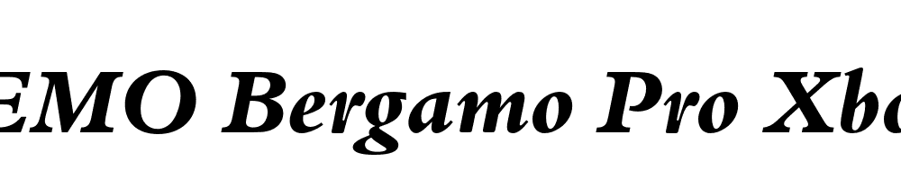 FSP DEMO Bergamo Pro Xbold Italic