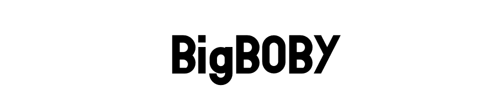 BigBOBY