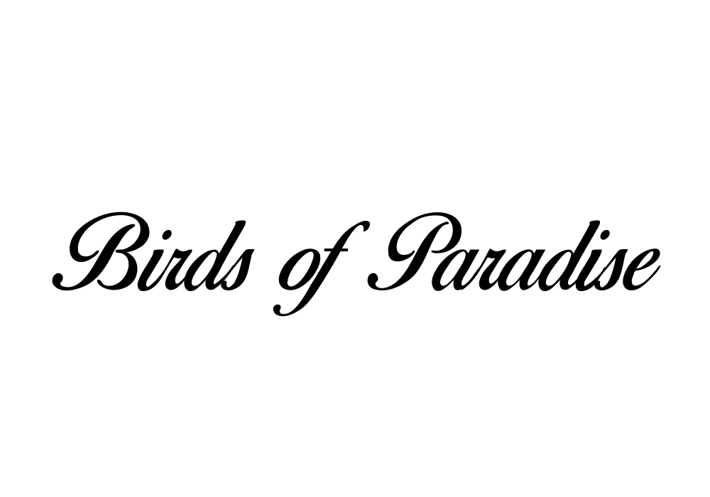 Birds Of Paradise Font Full Family Free Download Now 