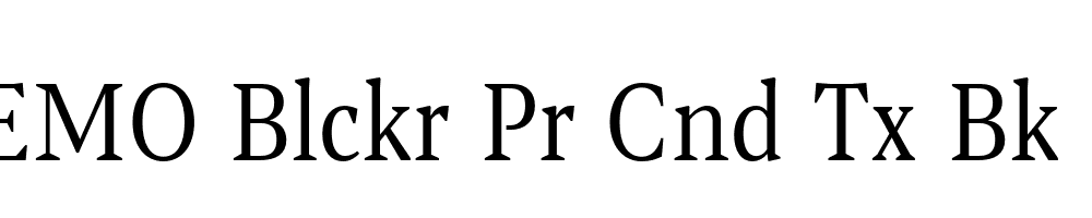 FSP DEMO Blckr Pr Cnd Tx Bk Regular