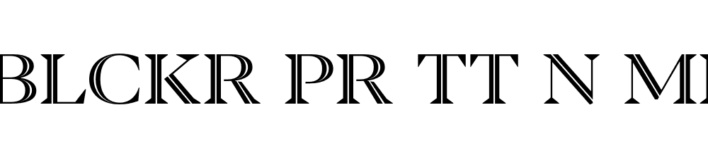 FSP DEMO Blckr Pr Tt n Md Regular