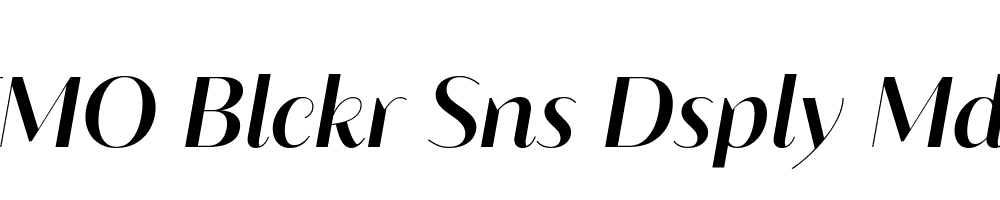 FSP DEMO Blckr Sns Dsply Mdm Italic