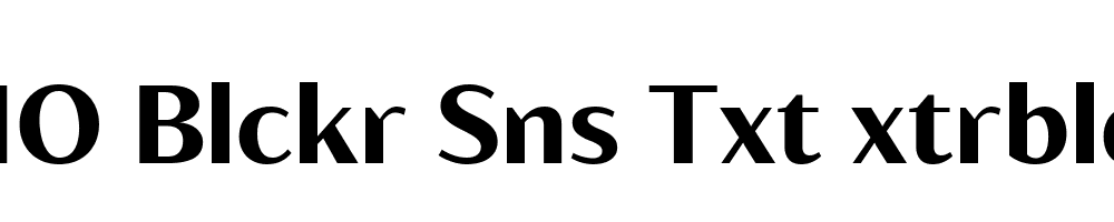 FSP DEMO Blckr Sns Txt xtrbld Regular
